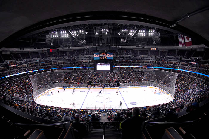 Arena of Avalanche