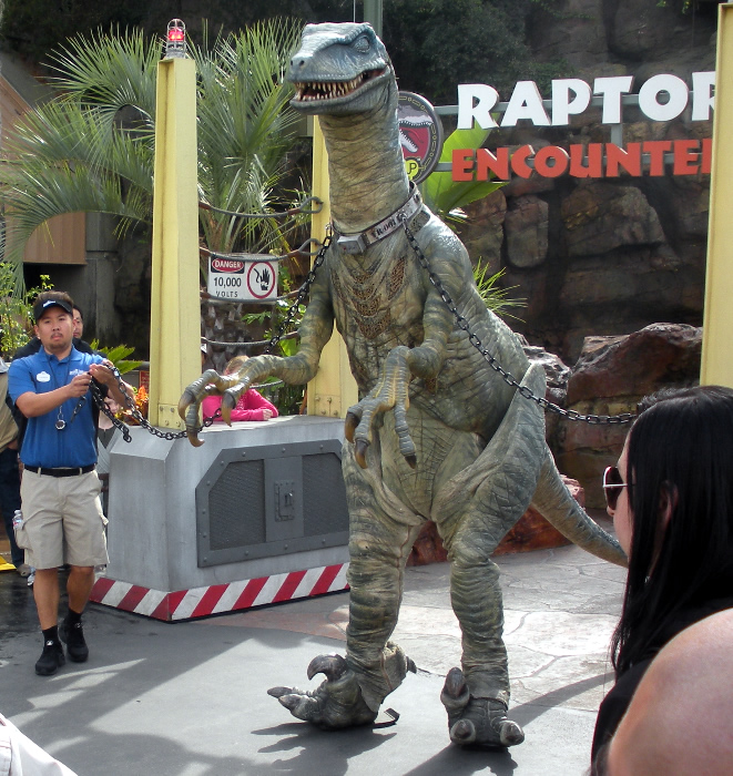 Universal Studio Raptor USA Picture Information: Raptor Encounter in Jurassic Park at Universal ...